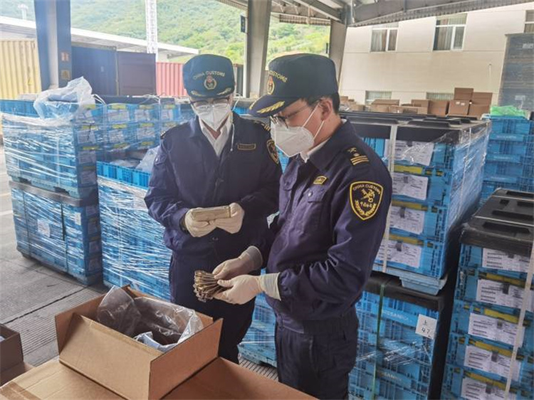 Spodbujanje zunanje trgovine za zagotovitev stabilnosti in izboljšanje kakovosti Carina Ningbo je izdala 20 