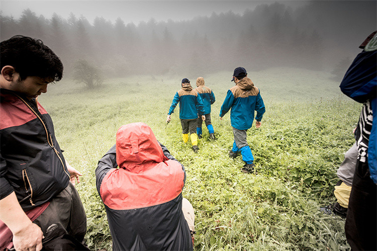 Kaj je SURVIVA Wilderness Survival?